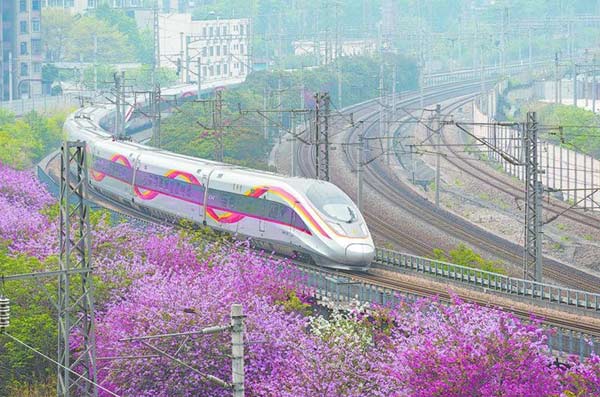 列車穿梭在春日盛景中