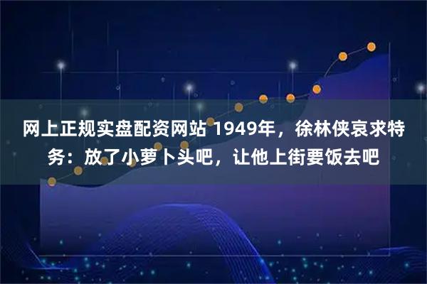 网上正规实盘配资网站 1949年，徐林侠哀求特务：放了小萝卜头吧，让他上街要饭去吧