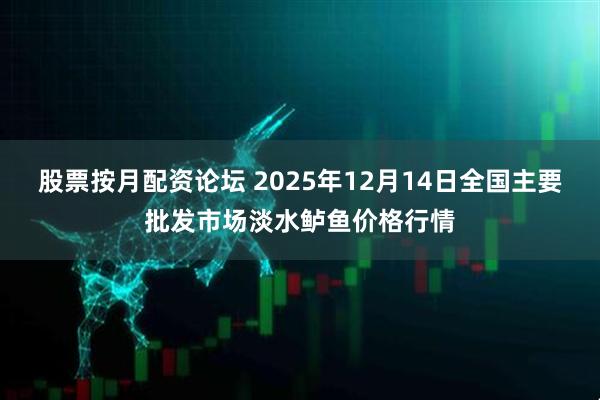 股票按月配资论坛 2025年12月14日全国主要批发市场淡水鲈鱼价格行情